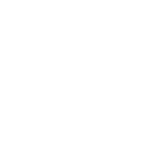 Phone Phone icon.